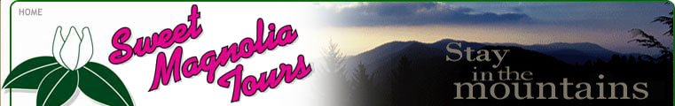 Sweet Magnolia Tours