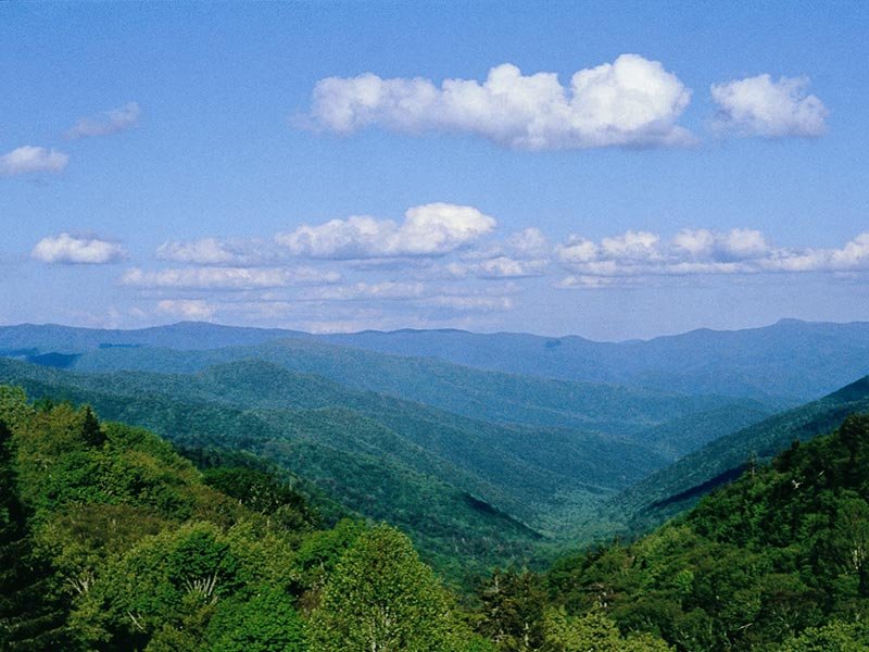 Sweet Magnolia Tours - Pigeon Forge Smoky Mountain View