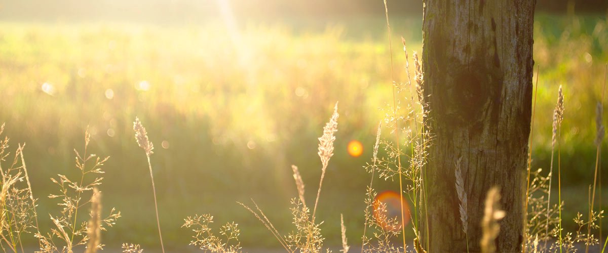 home-banner-v3